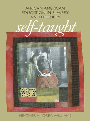 cover image of Self-Taught